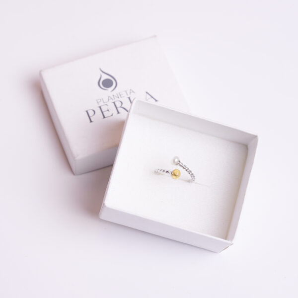ANILLO